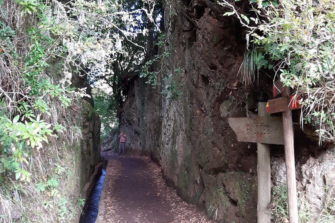 Madeira: Private 1.5-Kilometer Levada dos Balcões Hike PR11 - What to bring: clothing, layers, and comfort choices