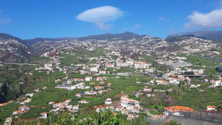 Madeira: Private Banana Farm Tour with Pickup - What Makes This Worth It for Different Types of Travelers