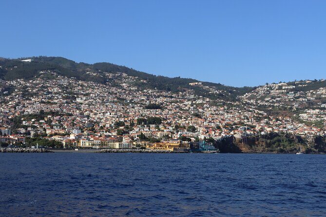 Madeira Private Boat Tour from Funchal - Price and value: $469.60 for up to 6 people