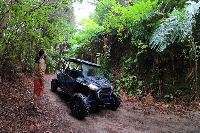 Madeira Private Buggy Adventure: Forest and Mountains - Polaris RZR XP 1000 and safety on Madeira’s rough terrain