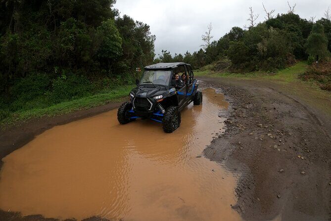 Madeira Private Buggy Adventure: Forest and Mountains - The guide matters: clear instruction, calm control, and local recommendations