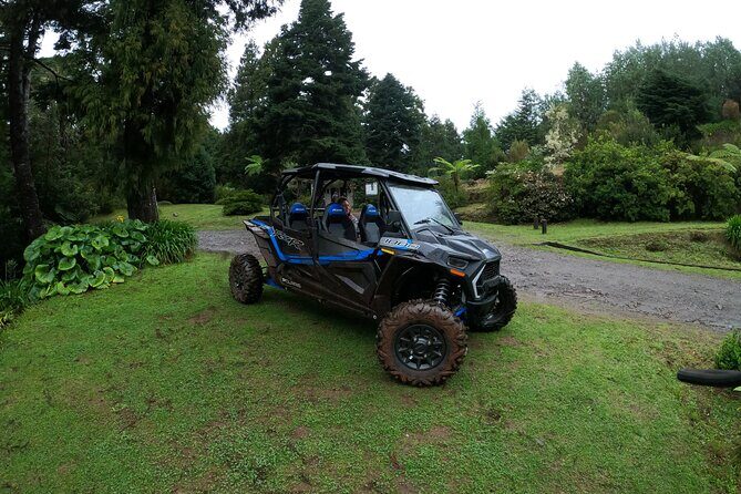 Madeira Private Buggy Adventure: Forest and Mountains - Price and value: is it worth $111.02 in Funchal?