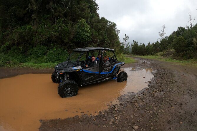 Madeira Private Buggy Adventure: Forest and Mountains - Where the tour starts and how to fit it into your Madeira day