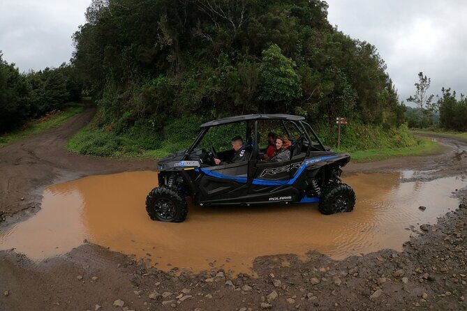 Madeira Private Buggy Adventure: Forest and Mountains - Should you book this Madeira Private Buggy Adventure?