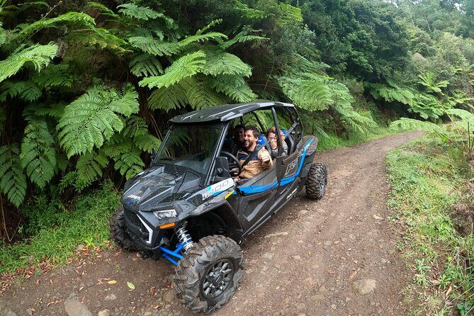 Madeira Private Buggy Adventure: Forest and Mountains - Mountain driving after the forest: on-road, off-road, and the big views