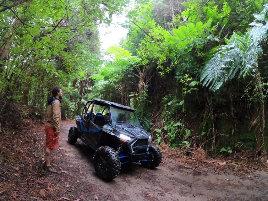 Madeira Private Buggy Adventure: Mountains and Forests - Who should book this Madeira buggy adventure (and who should skip it)