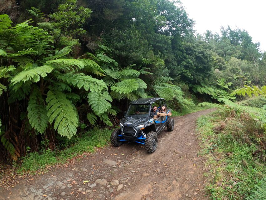 Madeira Private Buggy Adventure: Mountains and Forests - Serra das Funduras and the Laurissilva Forest trail