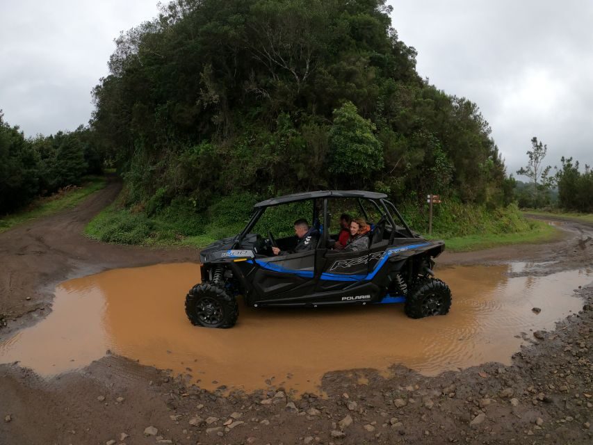 Madeira Private Buggy Adventure: Mountains and Forests - GoPro photos and video: easy souvenirs that don’t slow you down