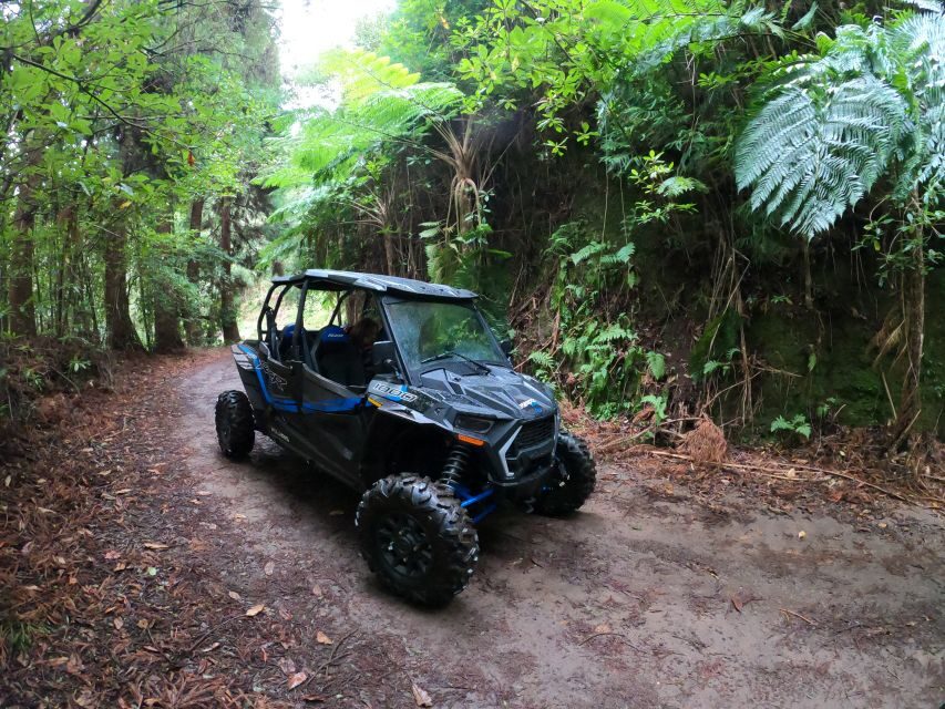 Madeira Private Buggy Adventure: Mountains and Forests - The ride back to Santo da Serra and Funchal