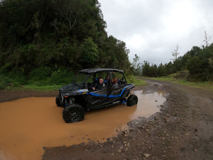 Madeira Private Buggy Adventure: Mountains and Forests - Price and value: why this private buggy day can make sense