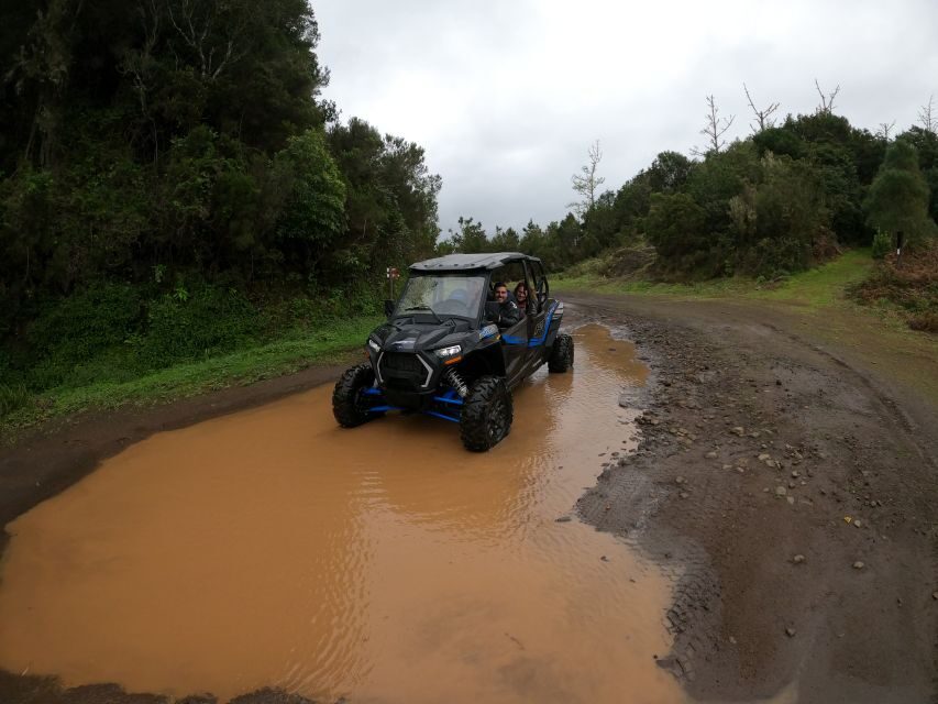 Madeira Private Buggy Adventure: Mountains and Forests - Your Polaris RZR XP4: what driving is really like