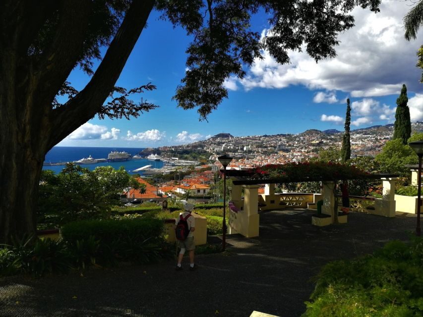 Madeira: Private Funchal City Tour in a Tukxi - A tukxi is the fast lane for Funchal’s tight streets