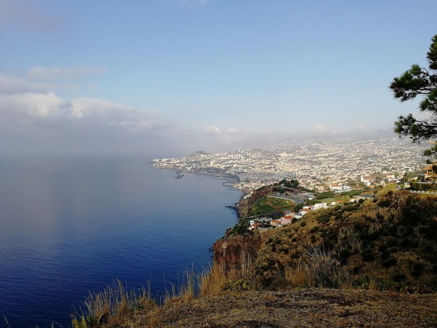 Madeira: Private Garajau Tour by Tukxi - Funchal in Motion: what the 2-hour tuk tuk format is really like