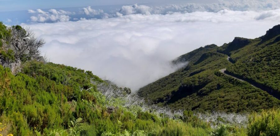 Madeira: Private Guided Achadas Teixeira - Pico Ruivo PR1.1 - Madeira’s Highest Peak: Why Pico Ruivo Feels So Big