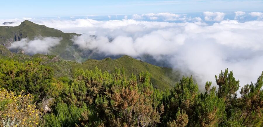 Madeira: Private Guided Achadas Teixeira - Pico Ruivo PR1.1 - What Your Private Guide Actually Does (Live Commentary + Local Perspective)