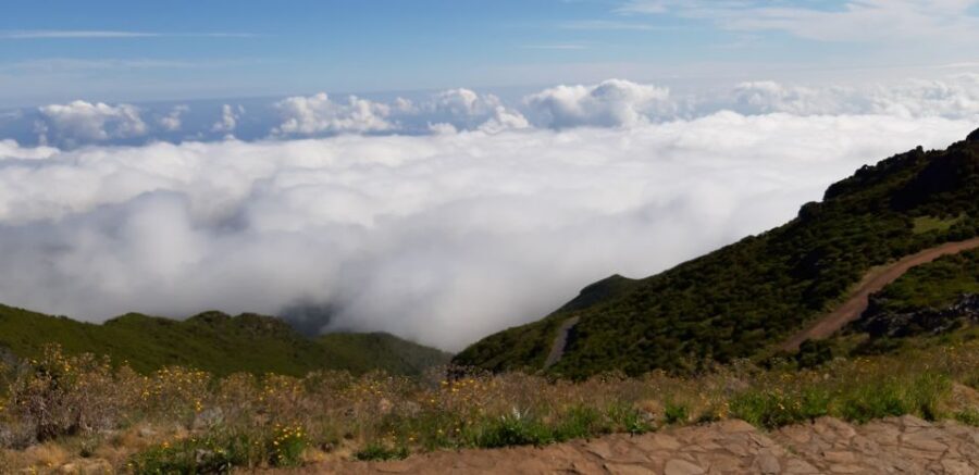 Madeira: Private Guided Achadas Teixeira - Pico Ruivo PR1.1 - From Pier to Peak: Timing That Fits a Cruise Day