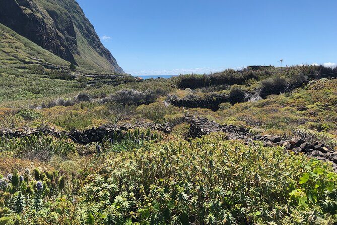 Madeira: Private Guided Half-Day Tour of Northwest Madeira - Who this tour suits best (and who might want something else)