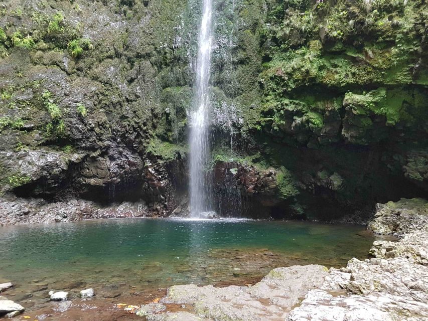 Madeira: Private Guided Levada Caldeirão Verde Walk PR9 - Tunnels and timing: why your planning should be boring
