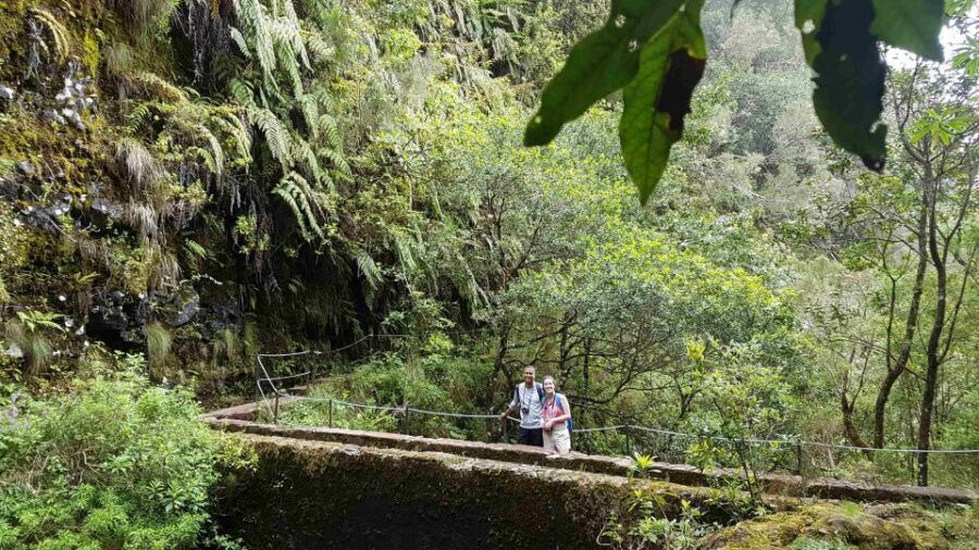 Madeira: Private Guided Levada Caldeirão Verde Walk PR9 - Getting there from Funchal cruise port and pickup areas