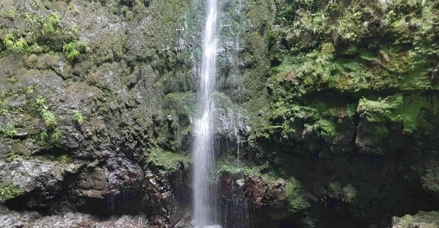 Madeira: Private Guided Levada Caldeirão Verde Walk PR9 - Following the levada: safe all year, but still real hiking