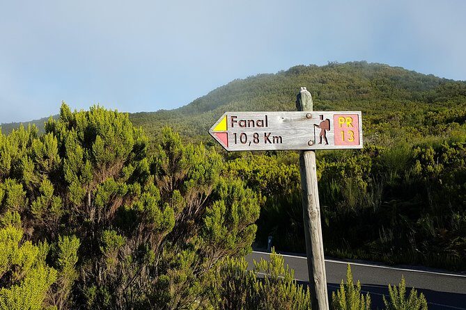 Madeira: Private Guided Walk Vereda Fanal PR13 - Key points before you lace up