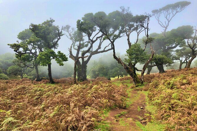 Madeira: Private Guided Walk Vereda Fanal PR13 - Richard and your guide: what a private day adds to a hike