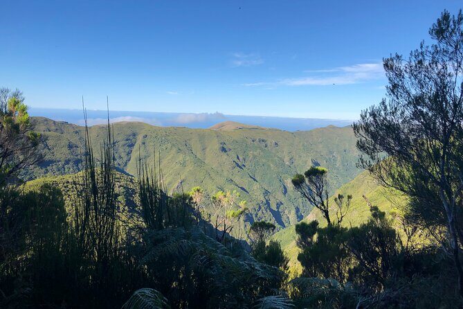 Madeira: Private Guided Walk Vereda Fanal PR13 - Paul da Serra on PR13: what the walking feels like in real time