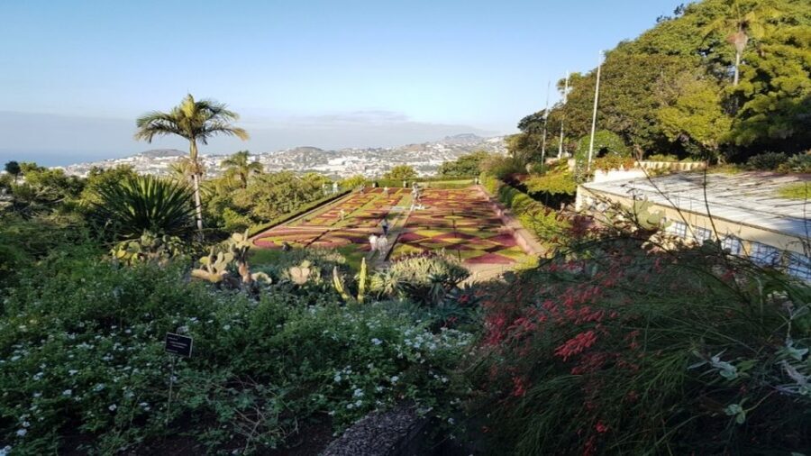 Madeira: Private Half-Day Guided Gardens Tour - Key things you’ll notice on this Madeira gardens tour
