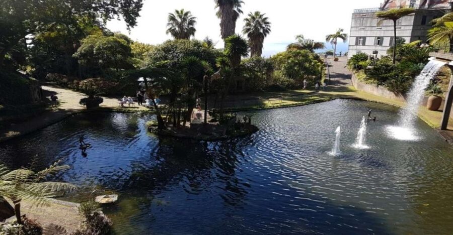 Madeira: Private Half-Day Guided Gardens Tour - Why Monte Palace and the Botanical Garden make a smart half-day in Funchal
