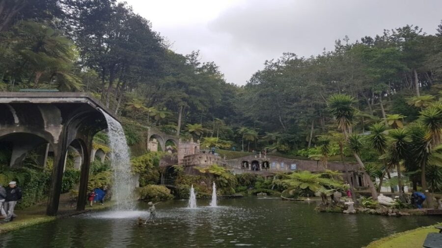 Madeira: Private Half-Day Guided Gardens Tour - Botanical Garden of Madeira: the Garden of the Atlantic and 2,500+ species