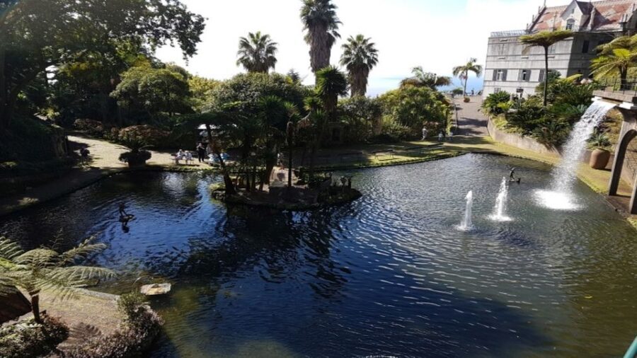 Madeira: Private Half-Day Guided Gardens Tour - Cruise port pickup and where the tour starts on your schedule