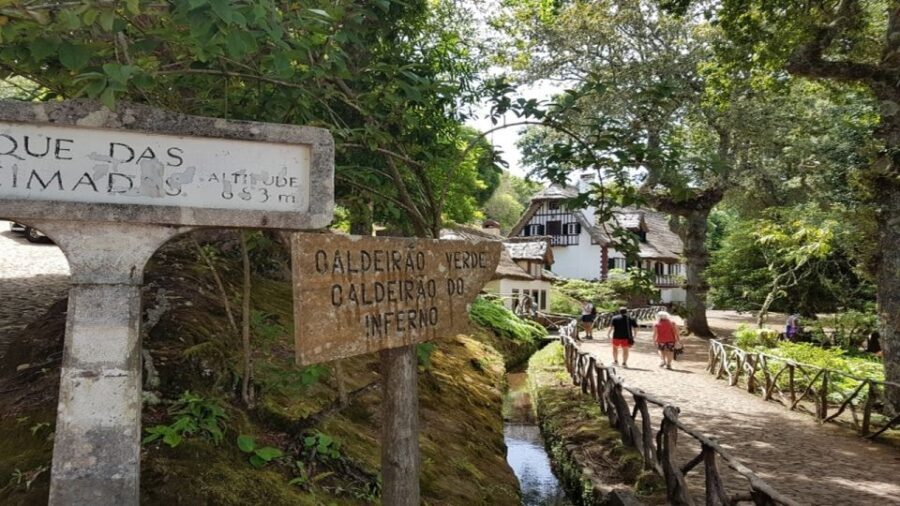 Madeira: Private Half-Day North East Island Tour - Driving the north with old roads: Vigia and Cabanas viewpoint time