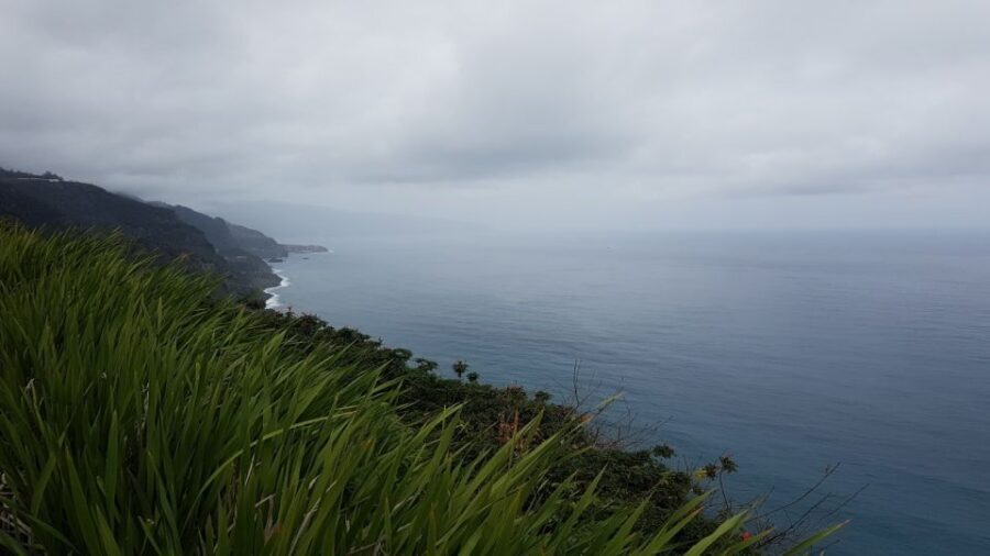 Madeira: Private Half-Day North East Island Tour - Price and value: is $235 per group worth it?