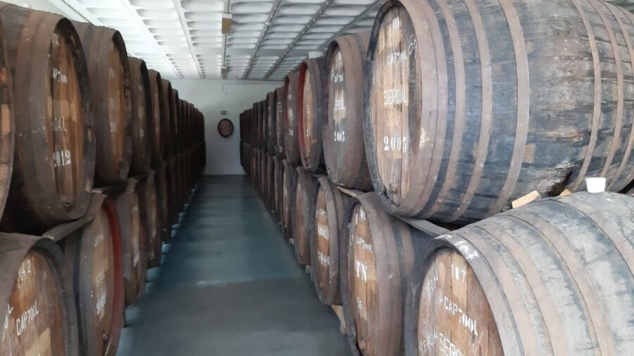 Madeira: Private Half-Day Wine Tasting Tour - Tasting Madeira with confidence: what to pay attention to