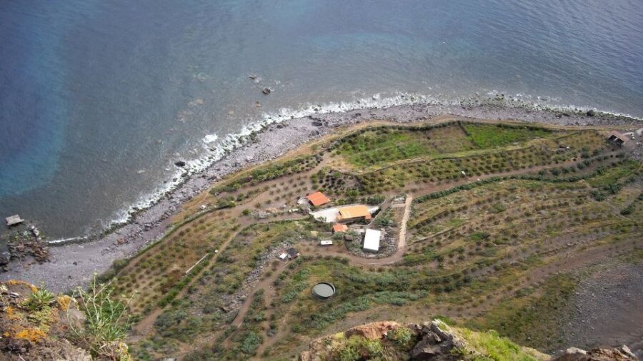 Madeira: Private Half-Day Wine Tasting Tour - What happens during the 3 hours (without feeling rushed)