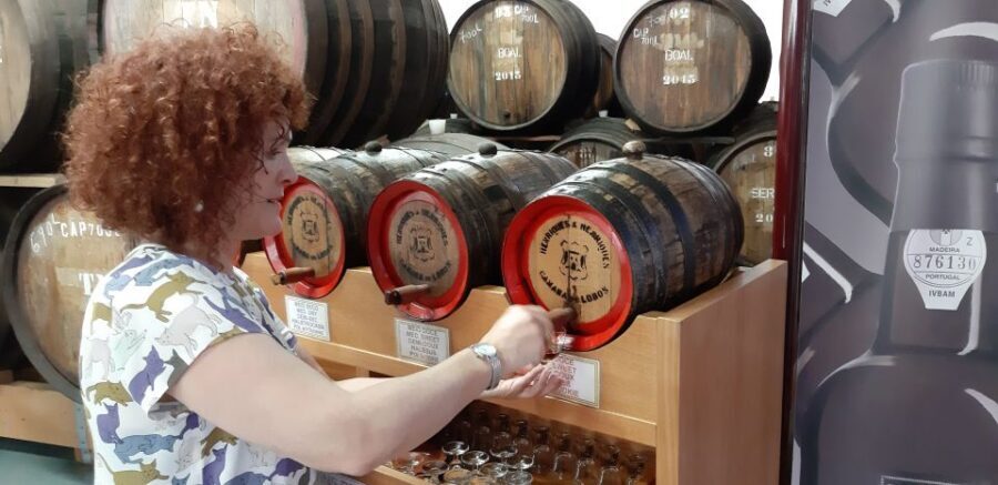 Madeira: Private Half-Day Wine Tasting Tour - Price and value: $200 per group up to 2