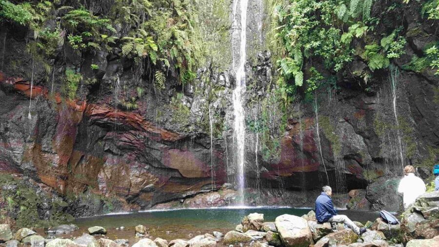 Madeira: Private Walking Tour of Levada das 25 Fontes PR6 - Should you book the Madeira private walk to Levada das 25 Fontes?