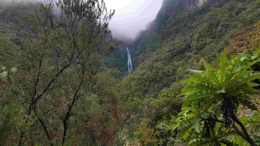 Madeira: Private Walking Tour of Levada das 25 Fontes PR6 - Why Levada das 25 Fontes on PR6 is a Madeira classic