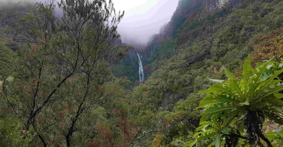 Madeira: Private Walking Tour of Levada das 25 Fontes PR6 - The big finish: 25 waterfalls and the lagoon area