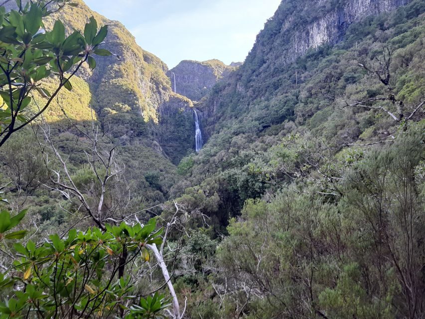 Madeira: Private Walking Tour of Levada das 25 Fontes PR6 - What this tour includes for $117 per person (and what it doesn’t)