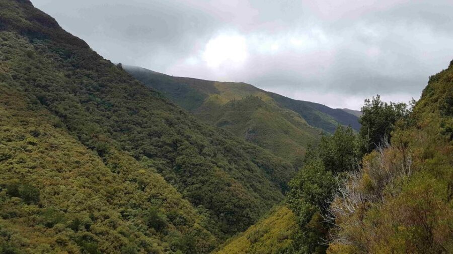 Madeira: Private Walking Tour of Levada das 25 Fontes PR6 - Fitness, altitude, and who this tour fits best