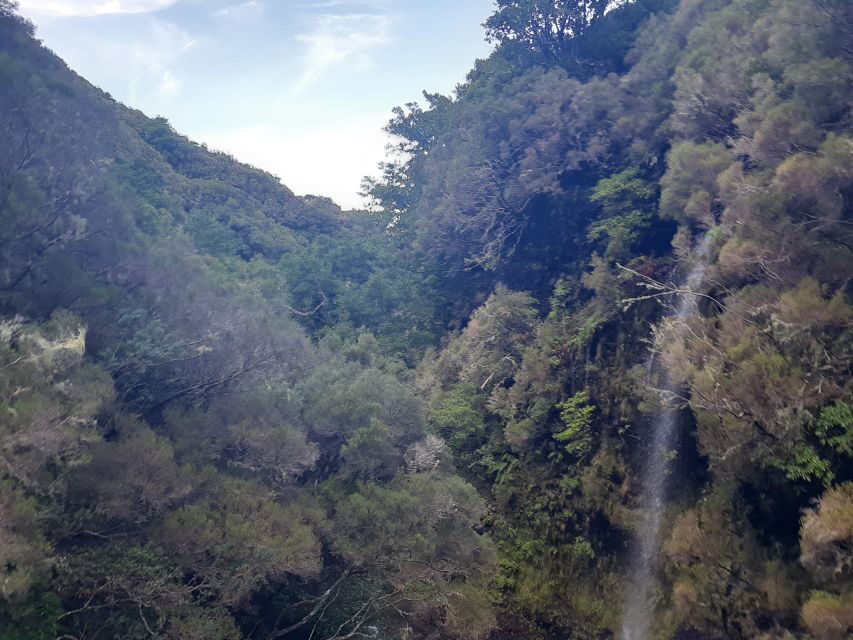 Madeira: Private Walking Tour of Levada das 25 Fontes PR6 - Getting picked up in Funchal, then starting in Rabaçal