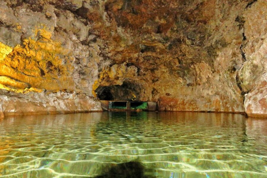 Madeira : Private wine experience by 4WD - Quick Hits Before You Go