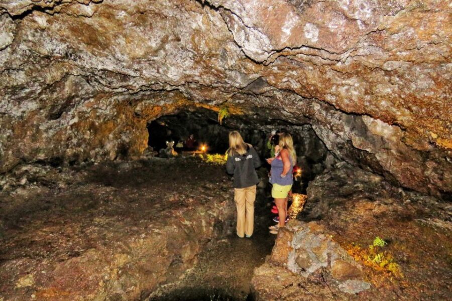 Madeira : Private wine experience by 4WD - Should You Book the Private 4WD Wine Experience in Madeira?