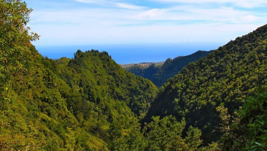 Madeira: Queimadas, Caldeirão Verde and Levada Walk - From Queimadas Guest House into the Levada da Serra de São Jorge