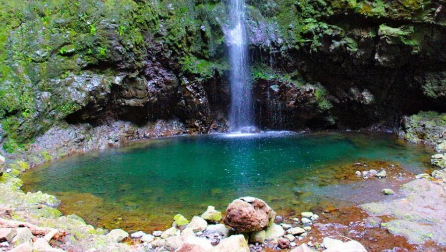 Madeira: Queimadas, Caldeirão Verde and Levada Walk - The Caldeirão Verde cascades: why the finale sticks with you