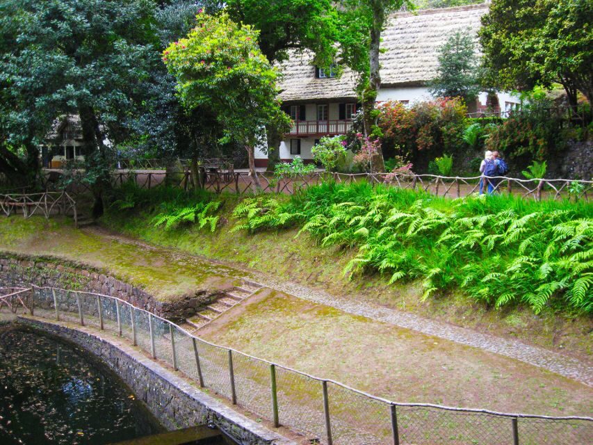Madeira: Queimadas, Caldeirão Verde and Levada Walk - What to bring (and what to skip) for wet Madeira trails