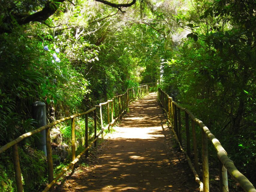 Madeira: Queimadas, Caldeirão Verde and Levada Walk - Price and value: what $50 buys you (and what it doesn’t)