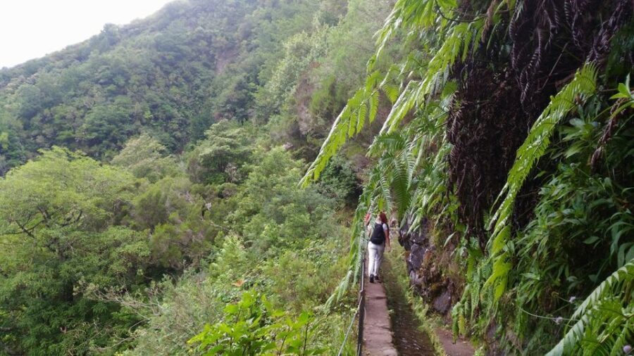 Madeira: Queimadas, Caldeirão Verde and Levada Walk - Who should book this Madeira hike
