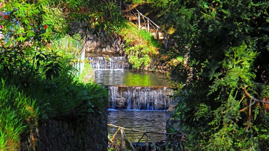 Madeira: Queimadas, Caldeirão Verde and Levada Walk - Should you book the Queimadas, Caldeirão Verde and Levada Walk?